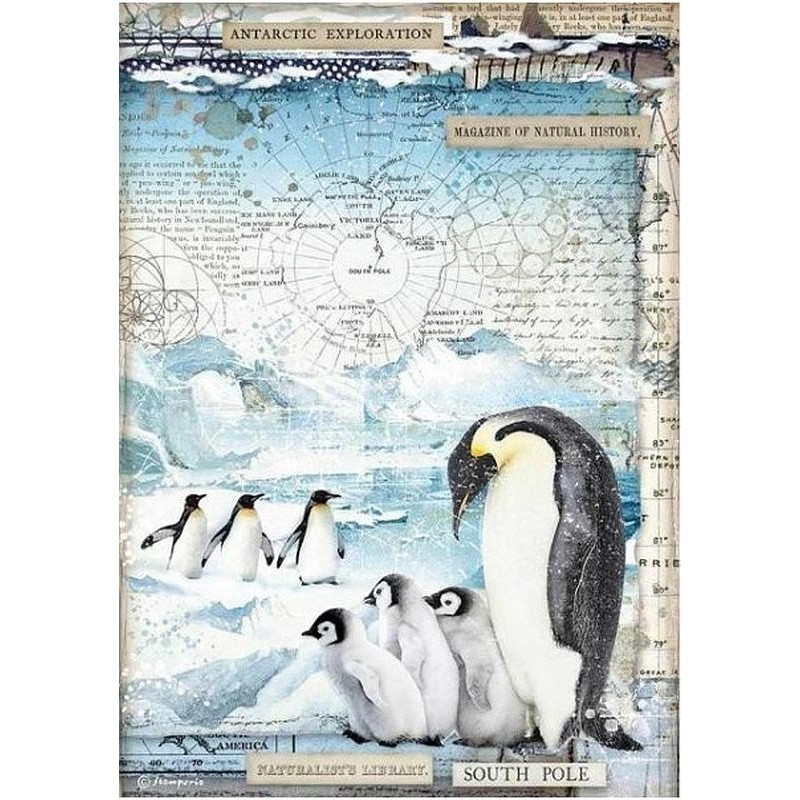 Papel de arroz Stamperia A4 - Penguins DFSA4479