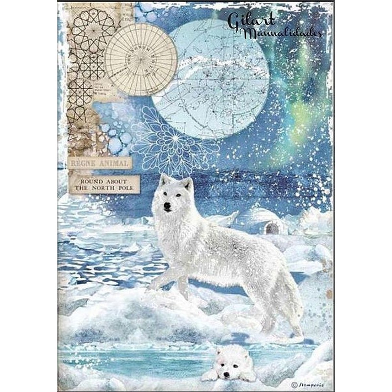 Papel de arroz Stamperia A4 - Artic World Lobo Polar DFSA4480